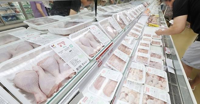 브라질산 닭고기 수입이 금지되면서 닭 가격 인상 가능성이 높아지고 있다. 사진은 대형마트에서 소비자가 닭을 고르는 모습. 연합뉴스.