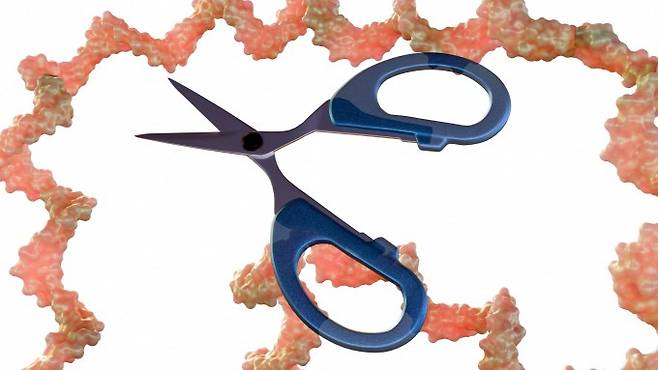 최근 유전자 가위 기술로 10대 면역질환 환자와 희귀질환에 대한 치료가 성공적으로 실시됐다. 유전자 가위 기술을 나타낸 이미지. 게티이미지뱅크 제공