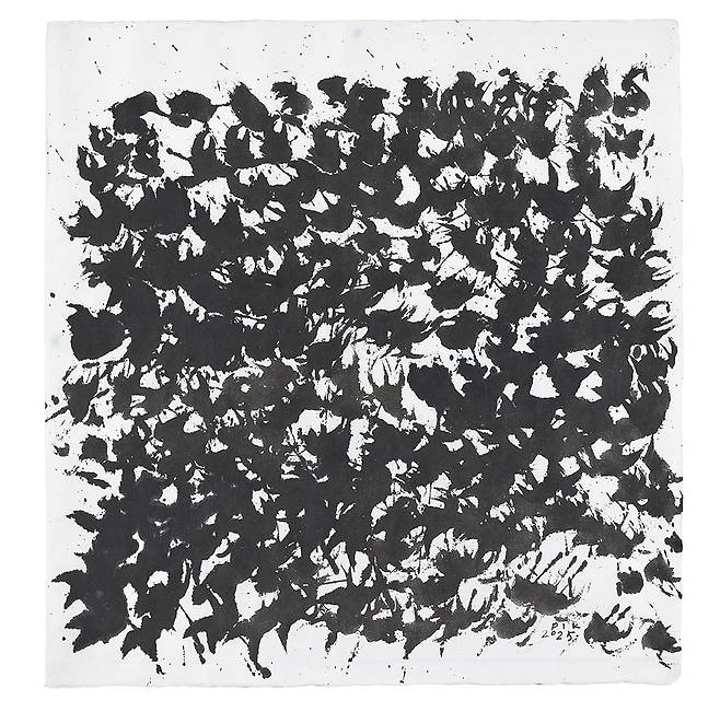 박인경, Envol, Ink on paper, 754 x 723 cm, 2025