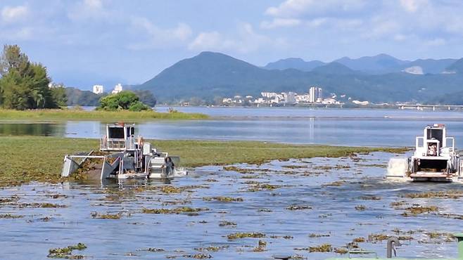 유해수초 제거작업 모습./사진제공=경기도
