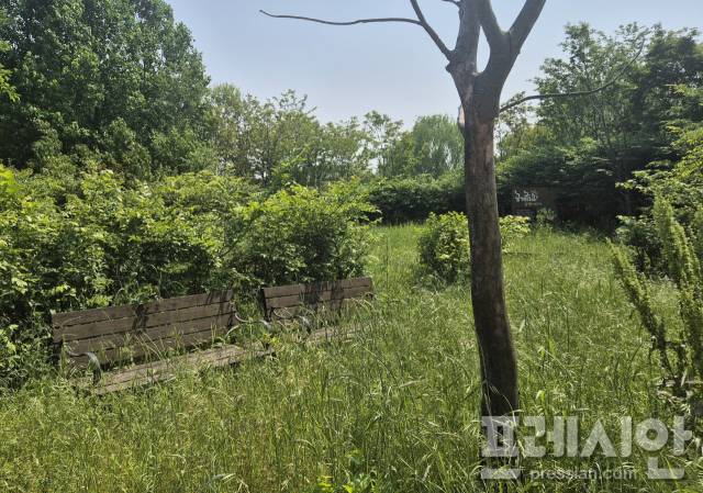 ▲벤치와 뒤에 보이는 안내판이 길게 자란 잡초에 묻혀 제 기능을 하지 못하고 있다. ⓒ프레시안