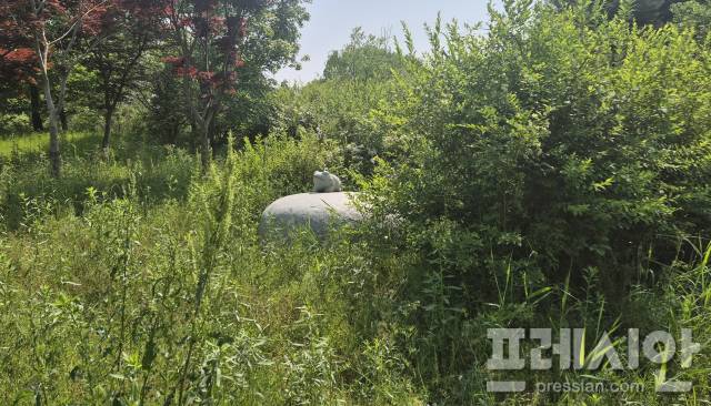 ▲조형물이 풀숲에 가려 가까이 다가서야 모습을 확인할 수 있다. ⓒ프레시안