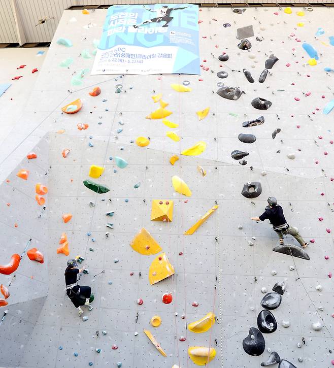 사진=대한장애인체육회