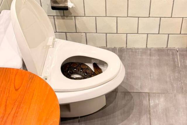 타탐 페이스북 캡처