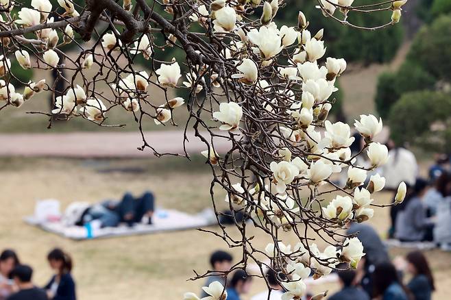 건국대학교 전경. 연합뉴스 제공