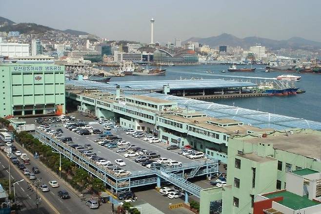 부산공동어시장 연합뉴스