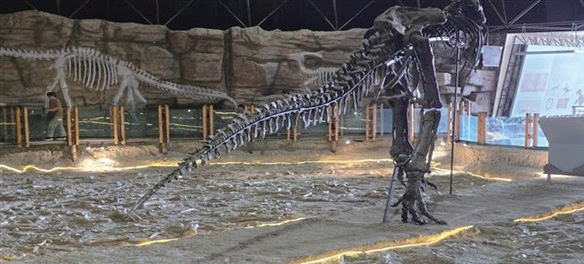 지표면에 흩어진 공룡뼈 화석. 작가 제공