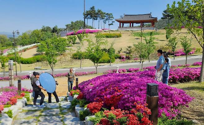 경주시 화랑마을에서 '다둥이 가정 행복 사진전' 참가 가족이 봄꽃을 배경으로 촬영하고 있다. 이 사진들은 다음달 황리단길 생활문화센터와 시청 민원실에서 전시될 예정이다. 경주시 제공