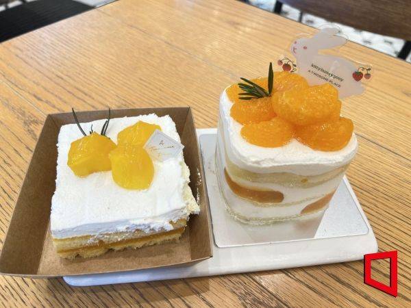 왼쪽부터 여름 과일인 망고를 활용한 '망고생(망고 생크림 케이크)', 금귤을 활용한 '금귤생(금귤 생크림 케이크)'. 한예주 기자