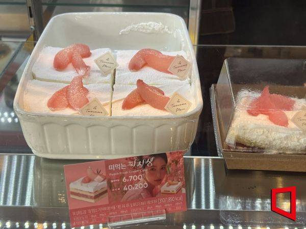 서울 시내 매장을 돌아다니며 4번의 시도 끝에 사 먹은 '떠먹는 피치생(복숭아 생크림 케이크)'. 한예주 기자