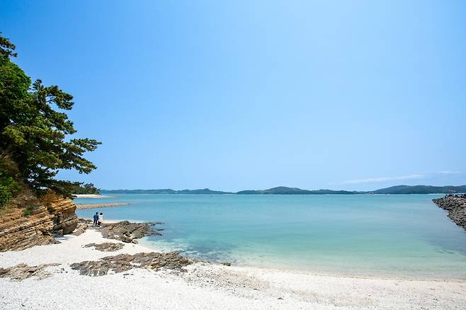해외 휴양지에서나 볼 수 있는 '산호 바다'는 아니지만 맑은 날 밀물 때에 맞춰 가면 새하얀 굴 껍데기가 소복하게 쌓인 해변과 에메랄드빛 바다를 볼 수 있는 충남 태안 '민어도' 해변, 펄이 섞여 탁한 색감의 서해에 대한 편견을 무너뜨리기에 충분하다. 다만 주변으로 이와 다른 '반전 풍경'이 펼쳐진다. / 김용재 영상미디어 기자