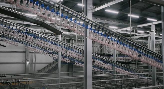 전북 익산에 위치한 하림의 닭고기 종합처리센터 내부 모습./사진=하림 제공