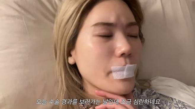 /사진=김연지 유튜브