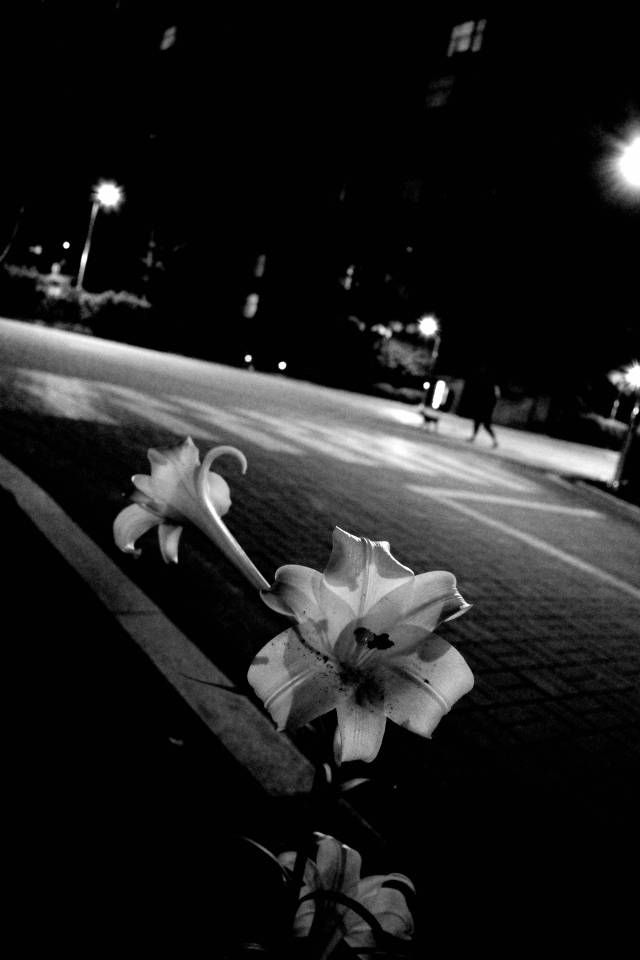 유일상의 대표 이미지. 스페이스포포 제공