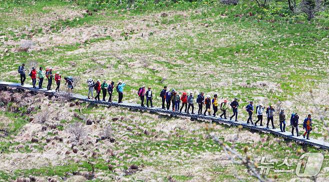 인제 대암산 용늪.(인제군 제공. 재판매 및 DB금지)/뉴스1