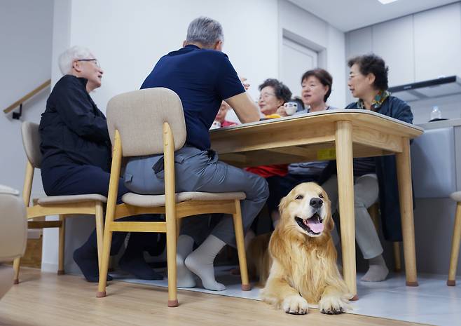 사진가의 일가 친척들이 함께 모인 자리에서도 마누는 가족처럼 사람들을 잘 따르고 부친을 좋아했다. 2023년 9월/ 사진가 김원범