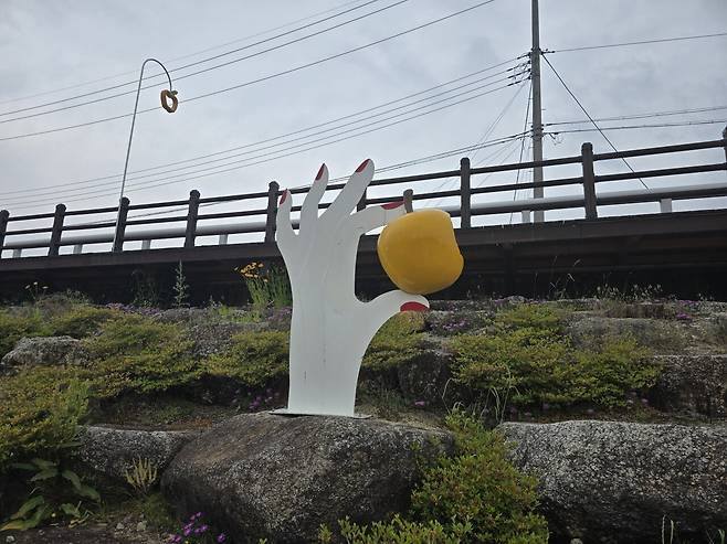 청송 사과축제 공원에 남혐 손가락 발견