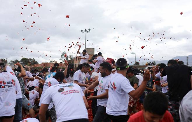 남미에서도 주요 토마토 산지인 콜롬비아가 '토마티나' 축제를 개최했다. 사진은 지난 1일(현지시각) 콜롬비아 수타마르칸에서 열린 토마티나 축제에서 사람들이 식용이 불가능한 토마토를 집어 던지며 '토마토 싸움' 놀이를 즐기고 있는 모습. /사진=로이터