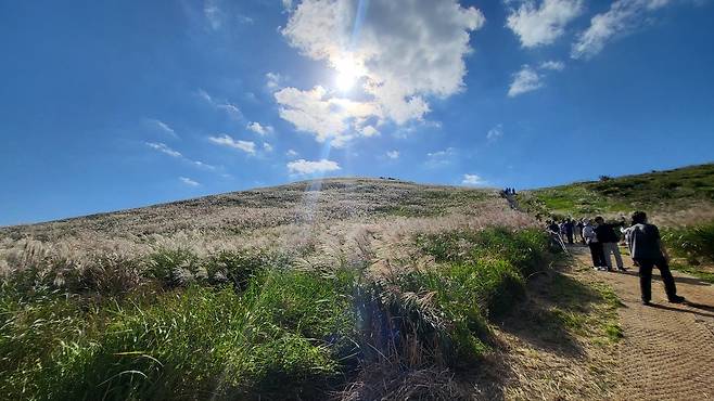 2026년 3월 31일부터 4월 2일까지 제20회 한국후계농업경영인 전국대회가 열리는 제주시 애월읍 새별오름.