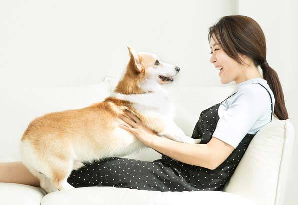 중국 최대 포털기업 바이두가 중국 국가지식산권국에 AI 기술을 활용한 동물 소리 번역 시스템의 특허를 출원했다. /사진=클립아트코리아