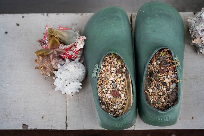 소품 숍에서 내놓은 앙증맞은 가파 바다에 눈길이 멈췄다