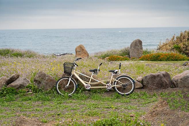 무탄소 섬인 가파도 여행의 모토는 '단순함'이다