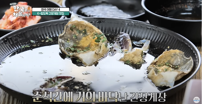 스크린샷 2023-08-21 203628.png \'어서와 한국은 처음이지\' 에서 진짜 진지하게 미식 즐기고 간 사람들 \'어서와 한국은 처음이지\' 에서 진짜 진지하게 미식 즐기고 간 사람들 .jpg