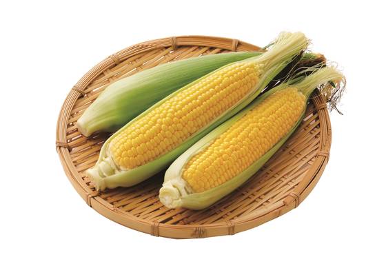초당옥수수 상품 사진