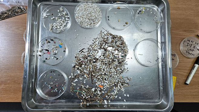 해변 모래 시료에서 발견된 대형 미세플라스틱들이 쟁반과 페트리디쉬 위에 올려져 있다. 동아시아 바다 공동체 오션·그린피스 제공