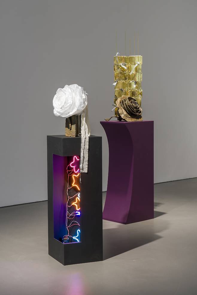 이유성의 ‘바그다드’(2025)