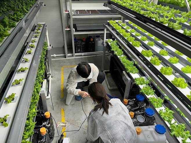 연암대 스마트원예학과 학생들. (사진=전문대교협)