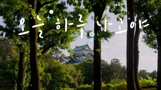 에어로케이항공 제공