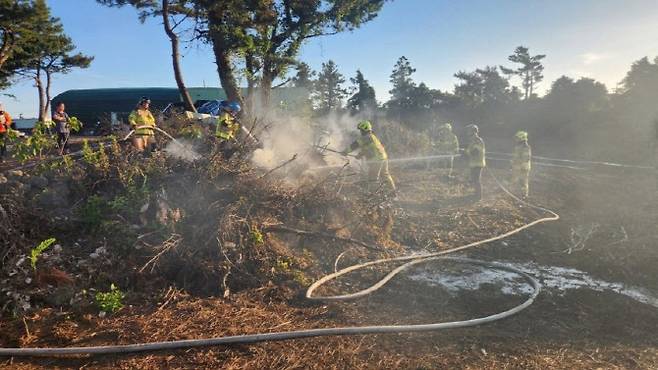 5일 오후 제주시 조천읍 과수원 화재 발생 현장 모습(사진=제주도소방안전본부 제공)