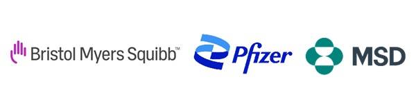 BMS, 화이자, MSD 등 대형 글로벌 제약사들이 중국의 항암 신약 후보물질에 관심을 보이고 있다./사진=각사 제공