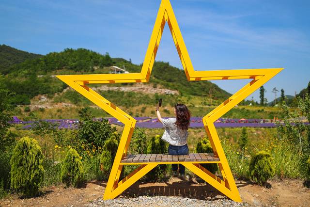 정원 곳곳에 마련된 포토존. 무릉별유천지 라벤더 축제 홈페이지