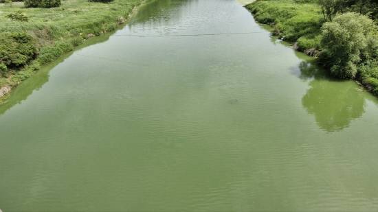 지난 5일 낙동강 본류인 함안보 상류 광려천 유입지점 일대 모습. 사진=낙동강네트워크