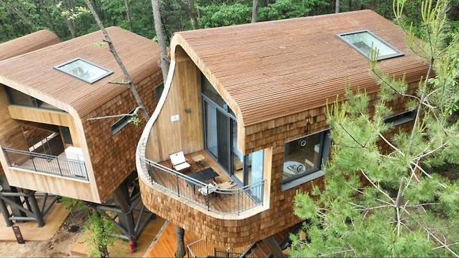 '수락 휴' 트리하우스. 노원구 제공.