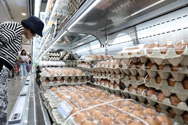 서울의 한 대형마트 계란 코너 모습. 사진=연합뉴스
