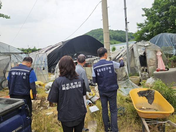 인천 남동구 개발제한구역 내 위법행위를 단속하고 있는 시 특별사법경찰 <인천시 제공>