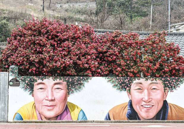 암태도 기동삼거리에서 만날 수 있는 ‘동백 파마머리’ 벽화.