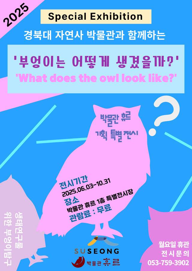 ‘박물관 휴르 기획 특별전-부엉이는 어떻게 생겼을까?’ 포스터.