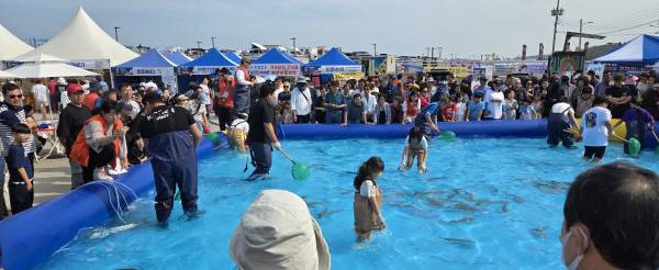 '제4회 감포항 가자미 축제'가 지난 7일, 8일 이틀간 2만여 명의 방문객이 찾은 가운데 성활리에 열렸다. 사진은 방문객들이 수산물 맨손잡기 체험을 하고 있는 모습. 경주시