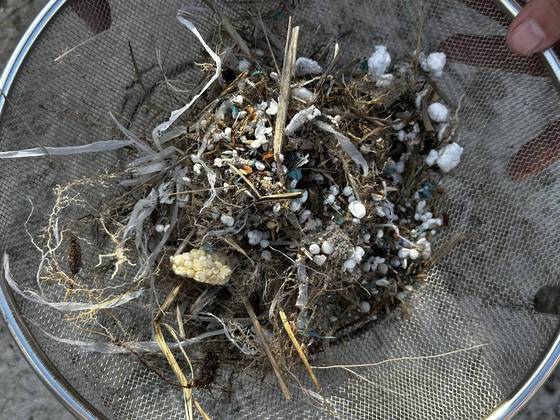 4일 오후 제주에서 진행된 ‘글로벌유스인제주’ 넷제로 제주 투어 프로그램 중 김녕바다 플로깅 봉사에 참가한 유학생들이 수거한 플라스틱 해양쓰레기. 최충일 기자 최충일 기자