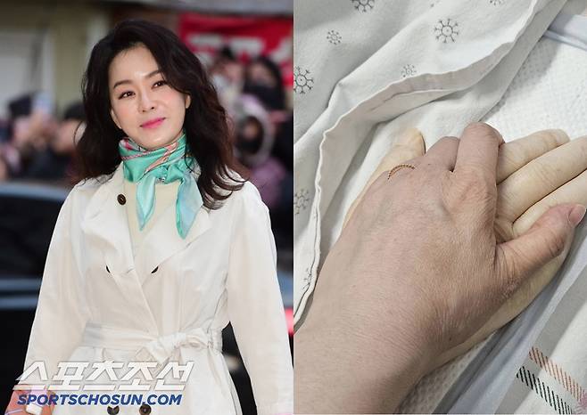 김정난. 스포츠조선DB, 사진 출처=김정난 SNS 계정