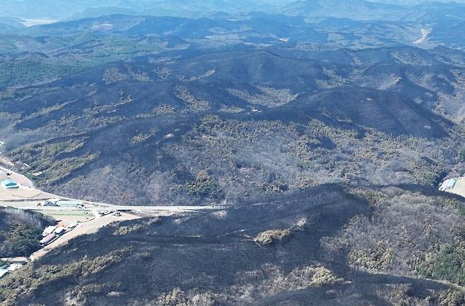 지난 3월 발생한 영남 산불은 대한민국 역사상 최악의 산림, 재산, 인명 피해를 낳았다. 산불 피해로 까맣게 탄 산의 모습. 사진 기후위기기록단