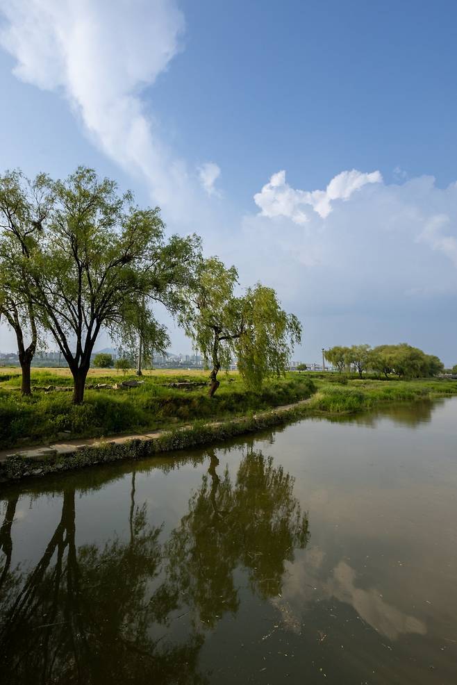 반포대교와 동작대교 사이에 위치한 인공섬 서래섬의 전경. 작은 섬이지만 도심서 오붓하게 산책이나 소풍을 즐길 수 있다 사진제공|서울관광재단