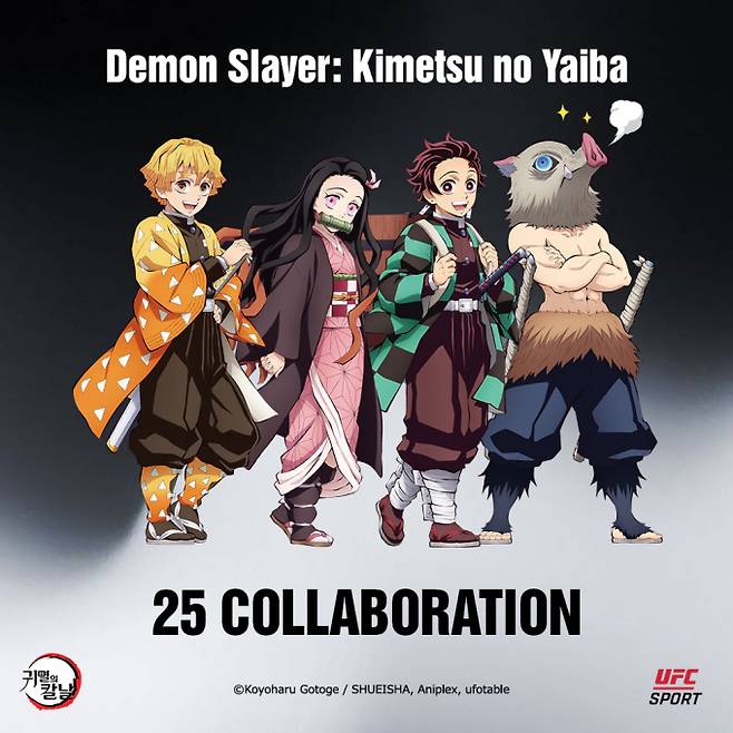 출처: UFC 스포츠