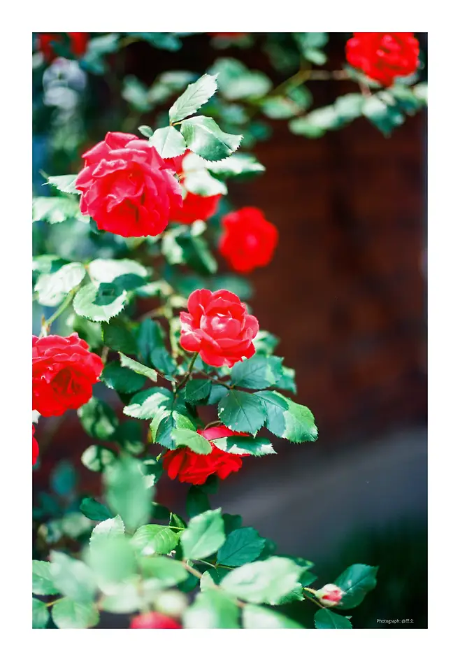 7dec807eb1816b8023998e96349c70181290d4aa188da29287a4883cee0c085407071bb41dc894ea8d4679c031fec8dd5b948c103566