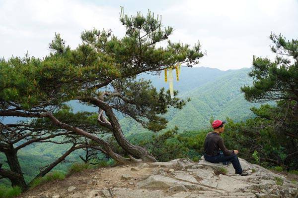 백두대간 합류지점인 남령 갈림길.