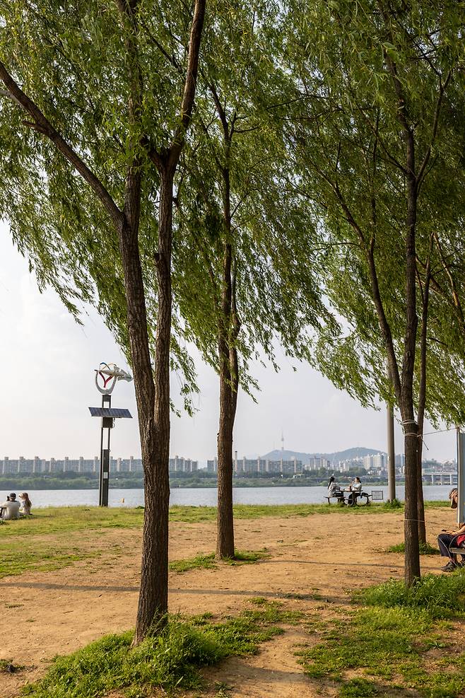 서래섬 산책로 / 사진=서울관광재단